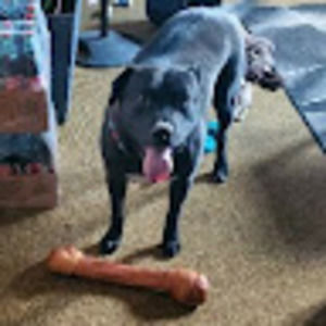 Meet your Posher, Angela